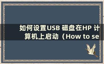 如何设置USB 磁盘在HP 计算机上启动（How to set up a USB disk to boot on a HP computer）